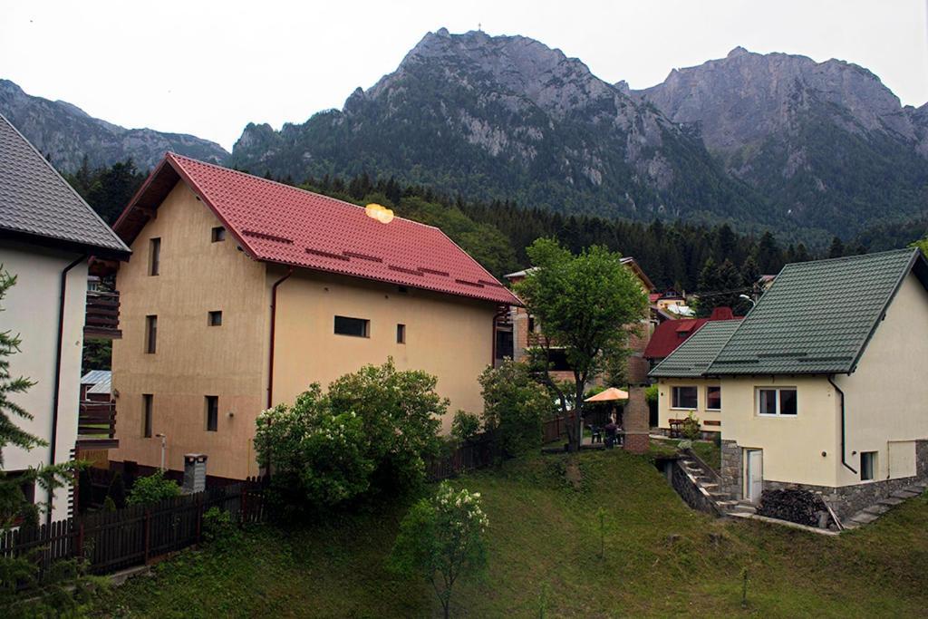 Apartament Mountain Life Buşteni Exterior foto