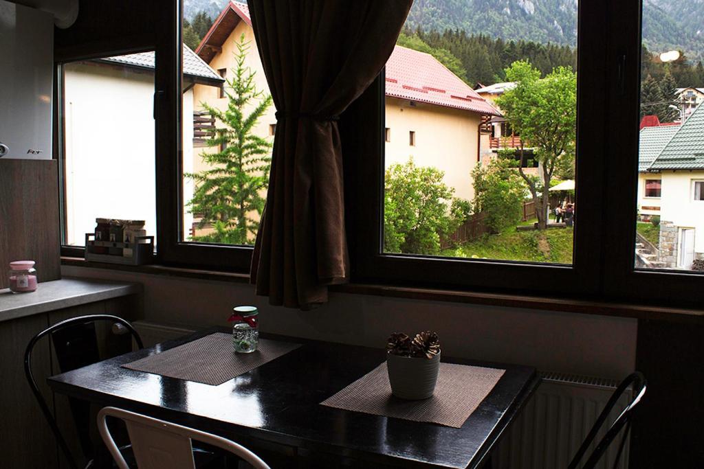 Apartament Mountain Life Buşteni Exterior foto